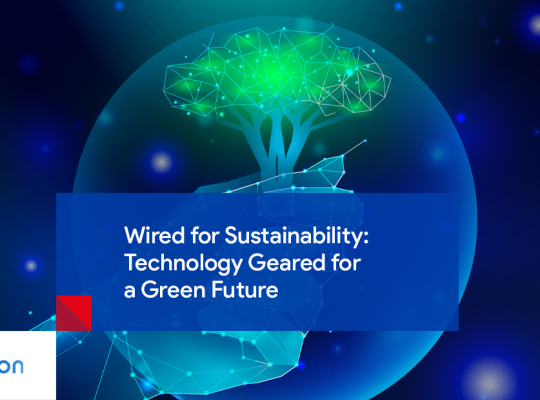 Sustainability for Business and Tecnology: Wired for a Green Future