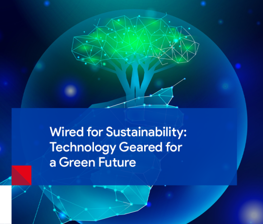 Sustainability for Business and Tecnology: Wired for a Green Future