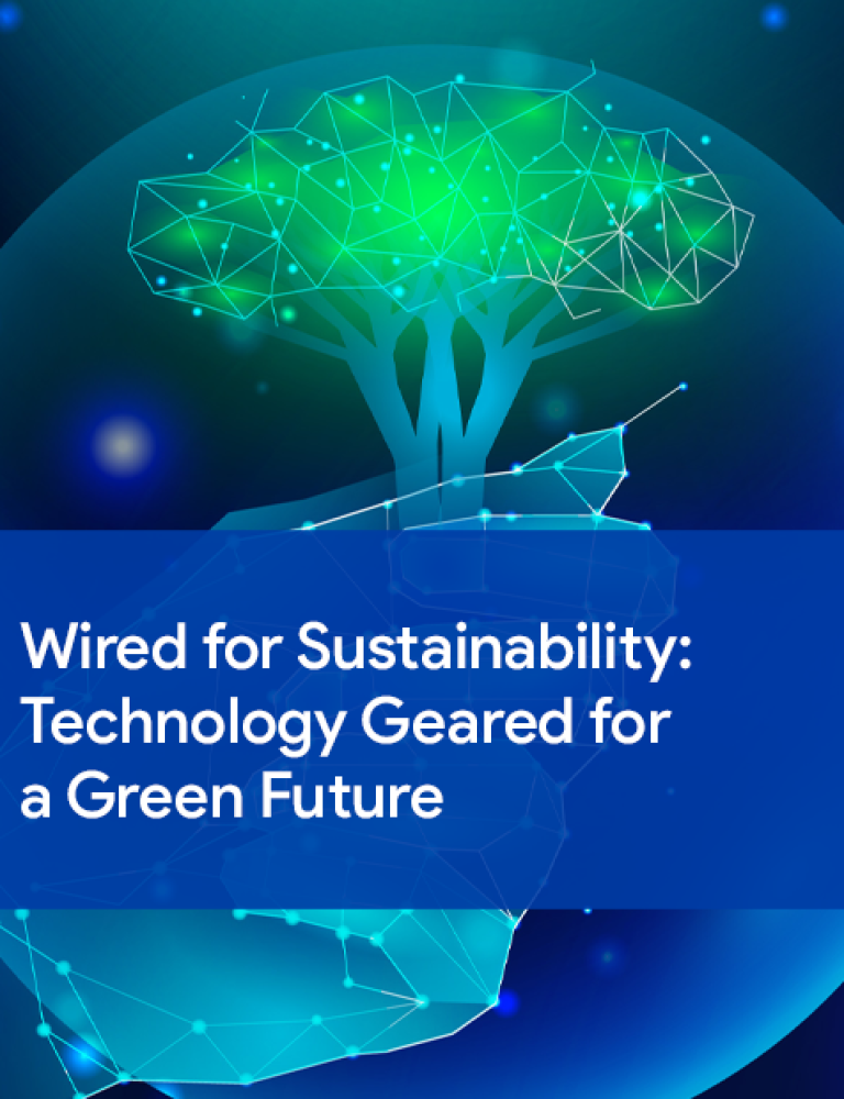 Sustainability for Business and Tecnology: Wired for a Green Future