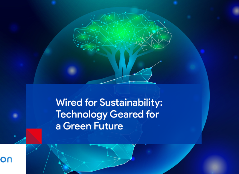 Sustainability for Business and Tecnology: Wired for a Green Future